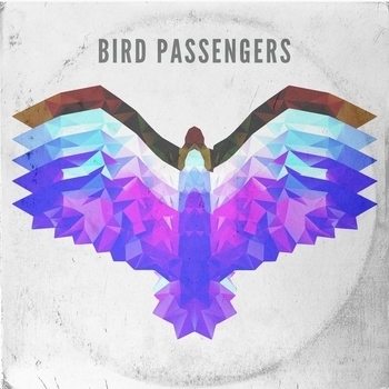 Bird Passengers – Running out of Time (Bird Passengers 2017)