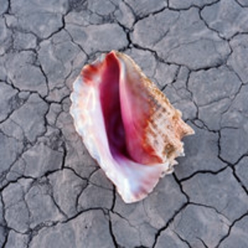 The Killers – The Calling (Wonderful Wonderful 2017)