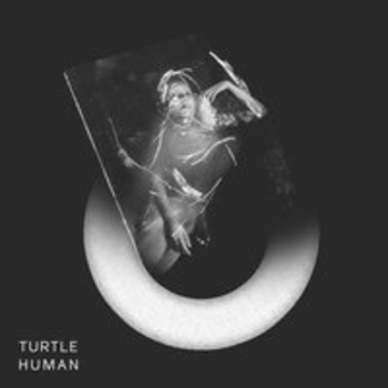 Turtle – Air (Human 2017)