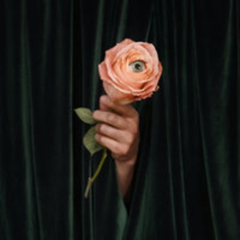 Marian Hill – No Hesitation (Unusual 2018)