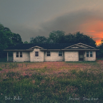 Beta Radio – Bees and Swans (Ancient Transition 2018)