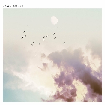 Ben Laver – The Beauty in Everything (Dawn Songs 2020)