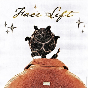 Ktoe – Charizard (Face Lift 2021)