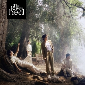 The Rose – Sour (Heal 2022)