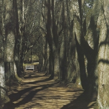 Motorama – Unknown (Sleep, and I will sing 2023)