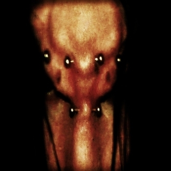 9mice – Xo4et (Orpheus 2023)