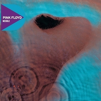 Pink Floyd – Seamus (Meddle 1971)