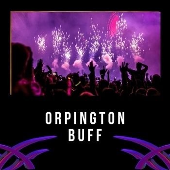LofiCentral – To the Moon (Orpington Buff 2022)