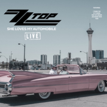 ZZ Top – Tush (Live)