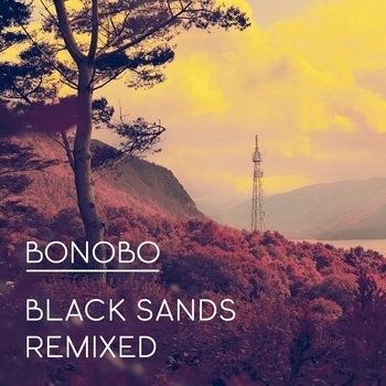Bonobo – Kiara (Cosmin TRG Remix)