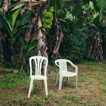 Bad Bunny – Nuevayol (Debi Tirar Mas Fotos 2025)
