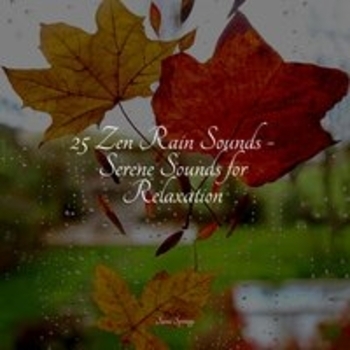 Nature Sound Collection, Nature's Symphony, Study Music – Rain, Drain, Cement, Lawn