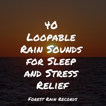 Nature Noise, Mindfulness Mediation World, Sound Sleeping – Wind and Storms (40 Loopable Rain Sounds for Sleep and Stress Relief 2022)