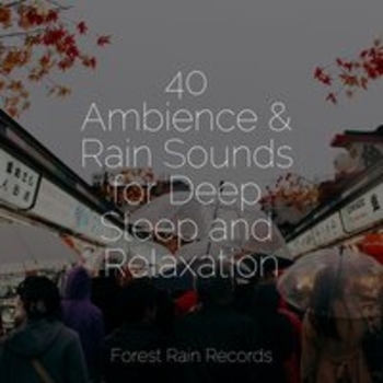 Thunder Storm, Ambient Nature White Noise, Ambiente – Tranquil Waves