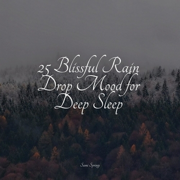 White Noise Nature Sounds Baby Sleep, Musica para Massagem Especialistas, Water Sounds for Sleep – Jungle, Evening, Quiet, Birds (25 Blissful Rain Drop Mood for Deep Sleep 2022)