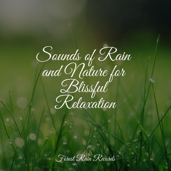 Lullabies for Deep Meditation, Relaxing Mindfulness Meditation Relaxation Maestro, Pet Care Music Therapy – Rains and Drains (Sounds of Rain and Nature for Blissful Relaxation 2022)
