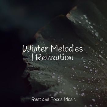 Lullabies for Deep Meditation, The Sleep Specialist, Sleepy Times – Focused (Winter Melodies - Relaxation 2022)