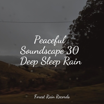 Deep Sleep Meditation, The Sleep Helpers, Academia de Meditacao Buddha – Park, Birds, Insects, Busy, Calm Wind (Peaceful Soundscape 30 Deep Sleep Rain 2022)