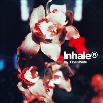 Inhaler – Still Young (Open Wide 2025)