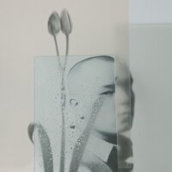 Dose, NXN – Снова таешь