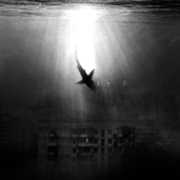 Lustova – Буйный ветер