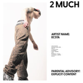 Ecsta – НИХУЯ