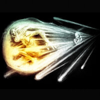 Plamenev – Burning Fast (Amateur Recording of the Piano Version)