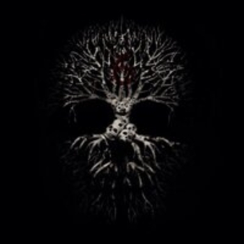 [AMATORY] – Негатив