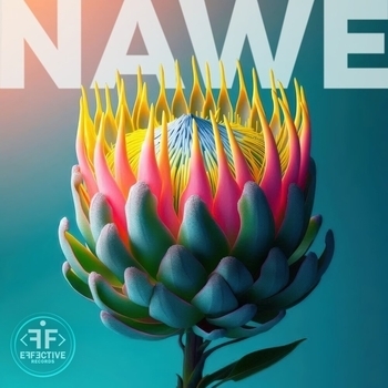 Synflo – Nawe