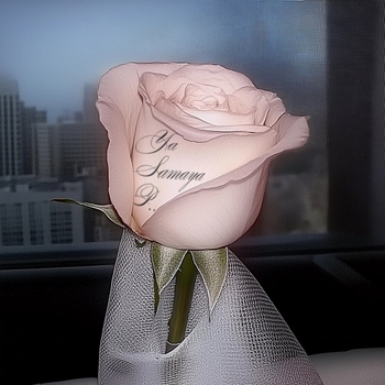 Lovesomemama – YA SAMAYA P