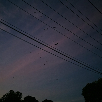 Inaleryy – i wanted you to stay