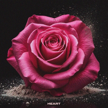 Dinamixx – Heart