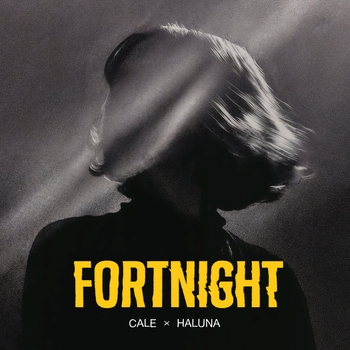 Cale – Fortnight