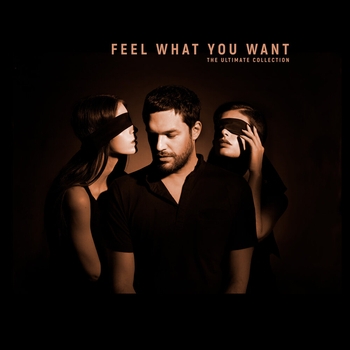 Phonique – Feel What You Want (Umid Remix)