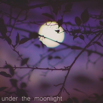 Edmofo – Under the Moonlight
