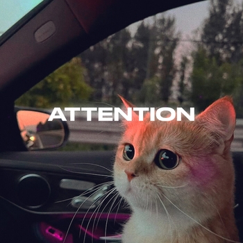 Rendow – Attention