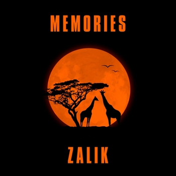 Zalik – MEMORIES