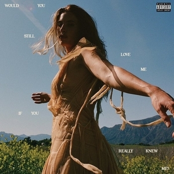 Fletcher – Boy (Would You Still Love Me If You Really Knew Me? 2025)