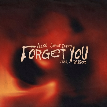 Alok – Forget You