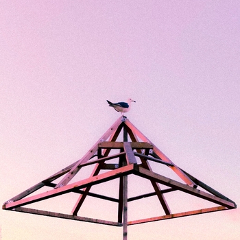 Altunin – INFINITY