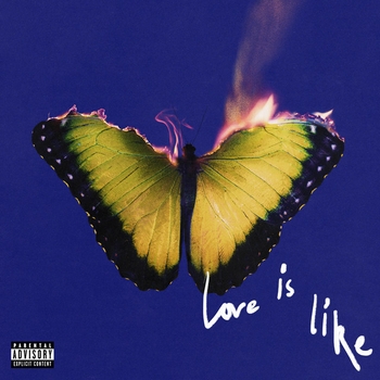 Maroon 5 – My Love