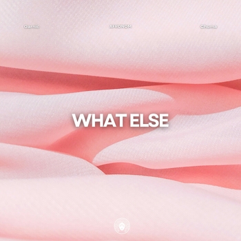 AFRONOM – What Else