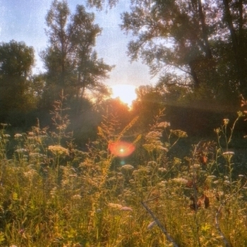 sunfade – silent noon