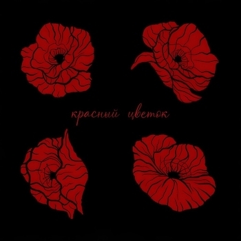 Alma – КРАСНЫЙ ЦВЕТОК