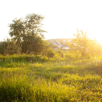 Divanator – Plains Dew