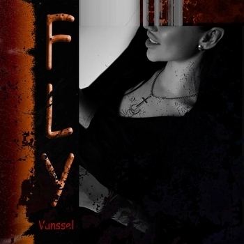 Vanssel – Fly