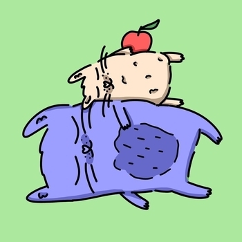 Chill Kitten – Rainbow day
