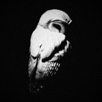 Staplegun – I KNOW BETTER (SLOWED)