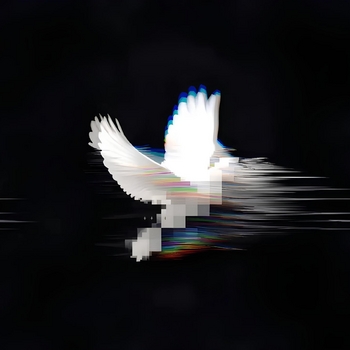 ?VLNS? – FLYING (Tik Tok Version)