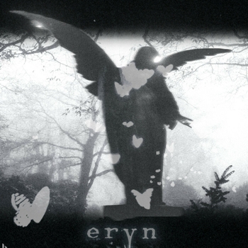 $LMK – Eryn